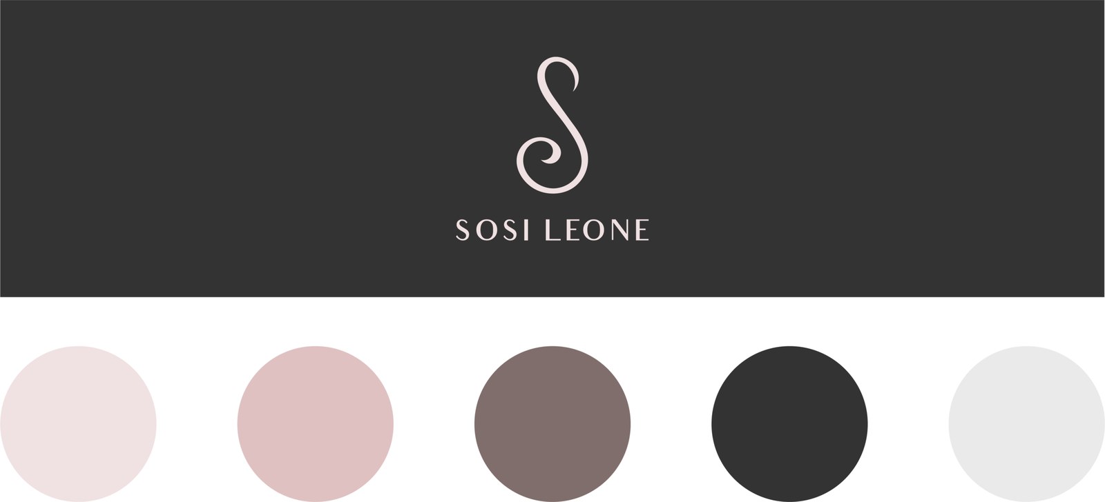 Sosi Leone logo on charcoal with the brand color palette